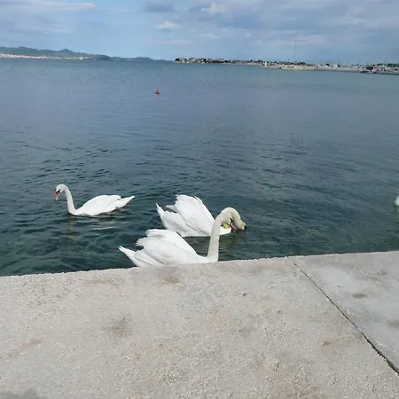 Renjak * Sukošan