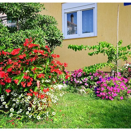 公寓 伦贾克公寓 Sukošan